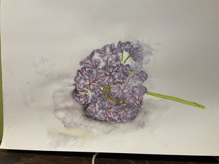 IMG_8699.jpeg