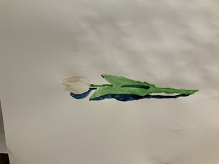 IMG_8719.jpeg