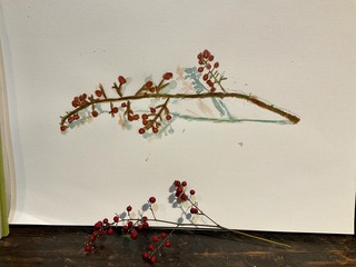 IMG_8720.jpeg