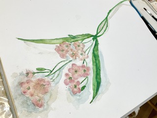 IMG_8723.jpeg