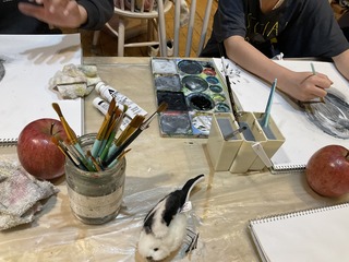 IMG_8755.jpeg
