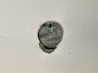 IMG_8780.jpeg