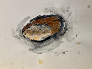 IMG_8797.jpeg