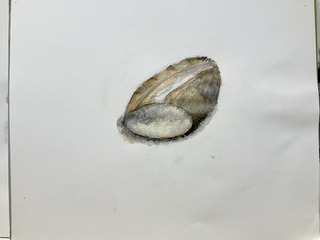 IMG_8816.jpeg